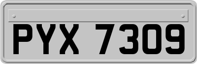 PYX7309