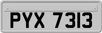 PYX7313