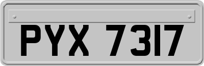 PYX7317