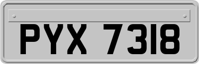 PYX7318