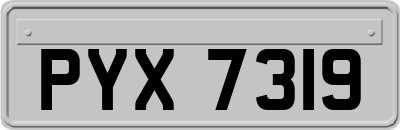 PYX7319
