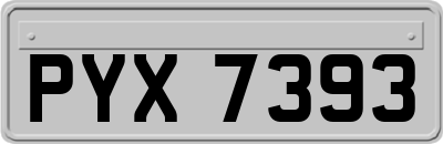PYX7393
