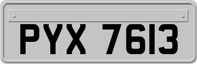 PYX7613