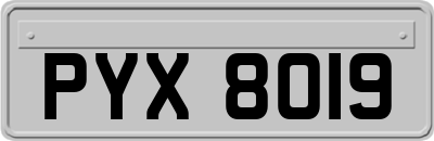 PYX8019