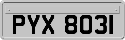 PYX8031