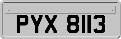 PYX8113