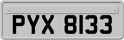 PYX8133