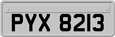 PYX8213