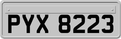 PYX8223