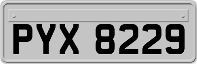 PYX8229
