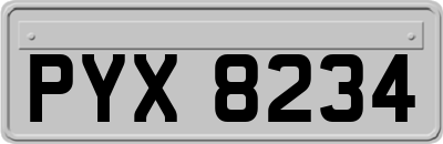 PYX8234