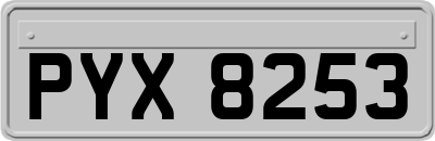 PYX8253