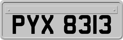 PYX8313