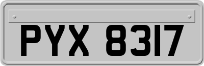PYX8317