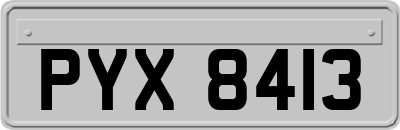 PYX8413