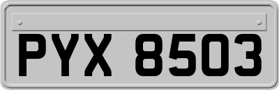 PYX8503