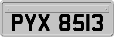 PYX8513