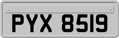 PYX8519
