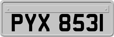 PYX8531