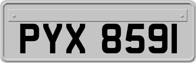 PYX8591