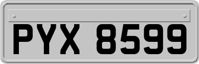 PYX8599