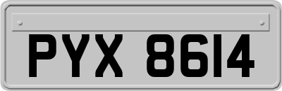 PYX8614