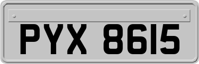 PYX8615