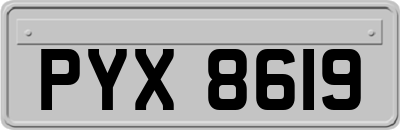 PYX8619