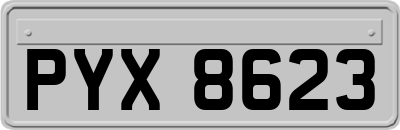 PYX8623
