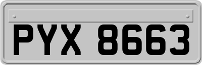 PYX8663