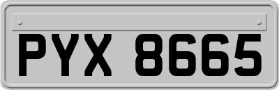 PYX8665