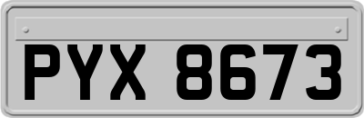 PYX8673