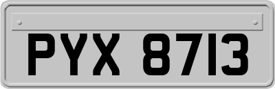 PYX8713