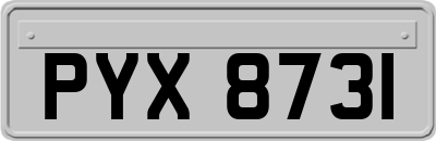 PYX8731