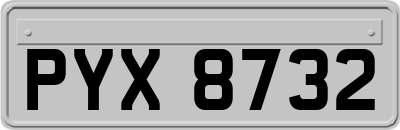 PYX8732