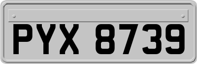 PYX8739