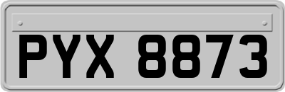 PYX8873