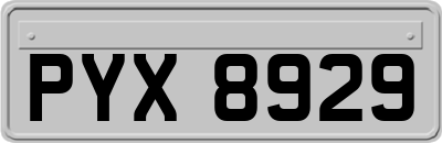 PYX8929