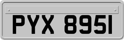 PYX8951