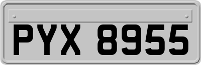 PYX8955