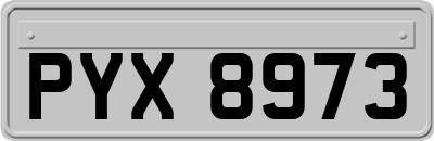 PYX8973