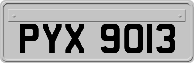 PYX9013