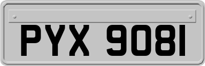 PYX9081