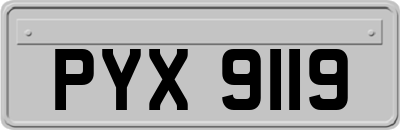 PYX9119