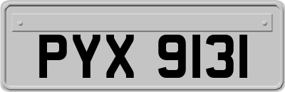 PYX9131