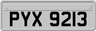 PYX9213