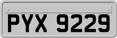 PYX9229