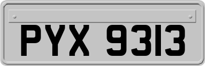PYX9313