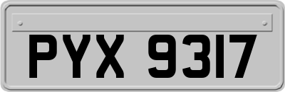PYX9317