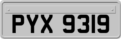 PYX9319